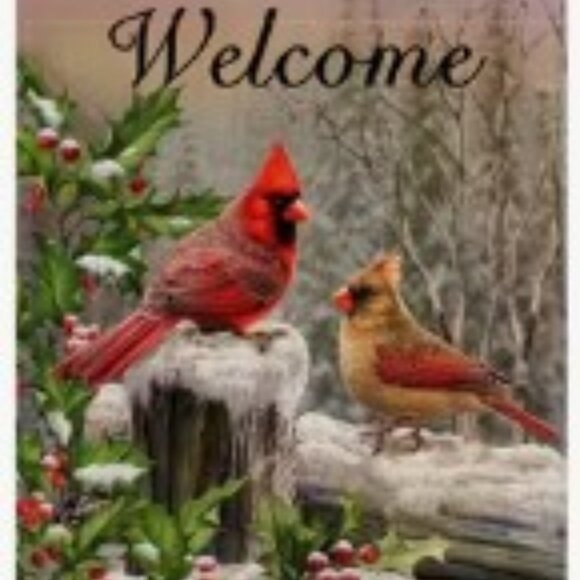 Other - 1 pc 12"x18" Christmas Garden Flag, With Birds and Welcome Quote